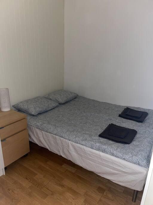 Leilighet Midt I Oslo Sentrum 2 Soverom Og Stue Ngoại thất bức ảnh