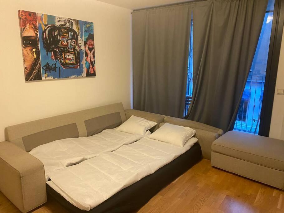 Leilighet Midt I Oslo Sentrum 2 Soverom Og Stue Ngoại thất bức ảnh